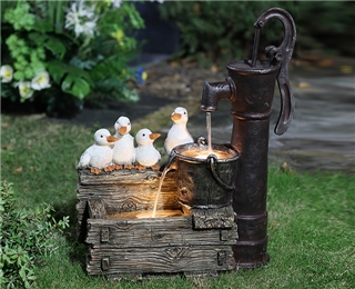 Duck waterwater fountain